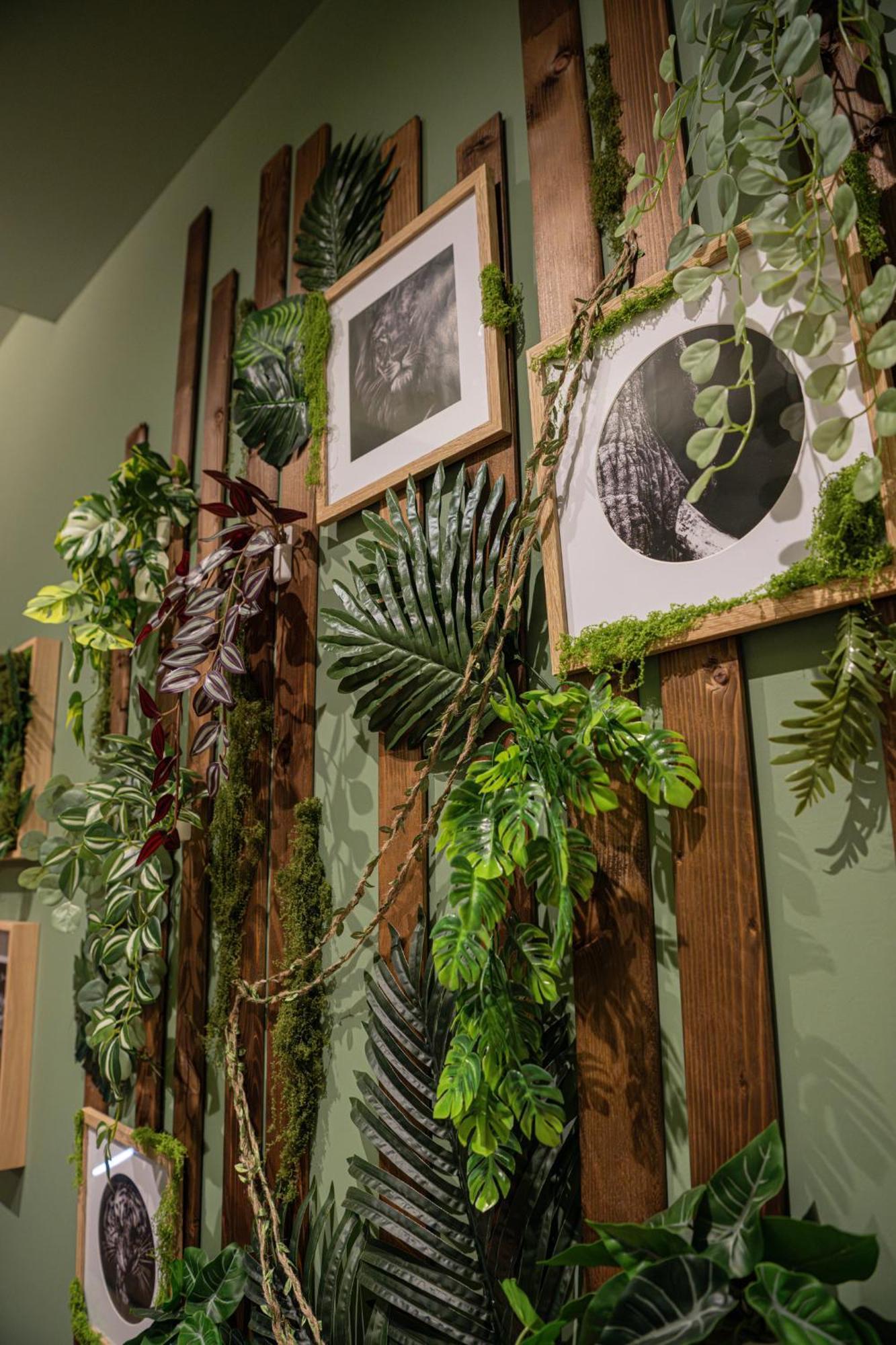 Secret Jungle - Love Room By Prim0 C0Nciergerie Royat Exterior photo